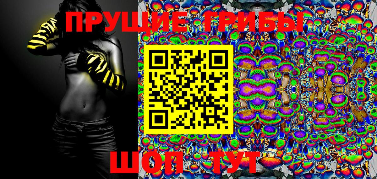 Псилоцибиновые грибы Cubensis  Вход с VPN  наркотики  Щёкино 