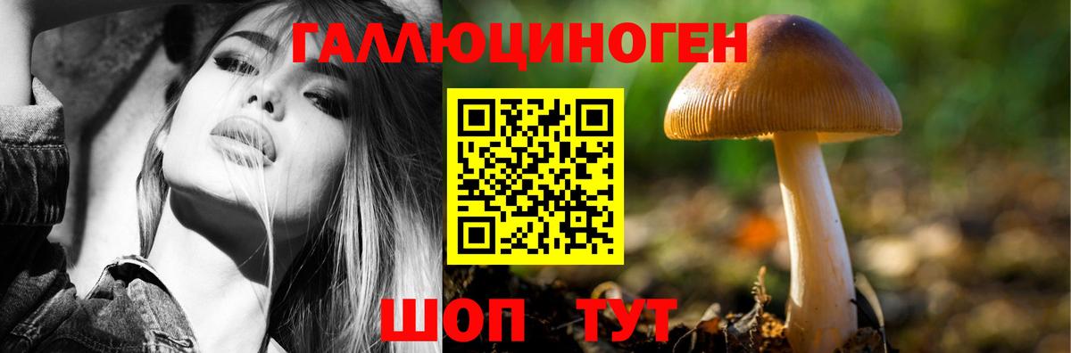 Галлюциногенные грибы Cubensis Щёкино